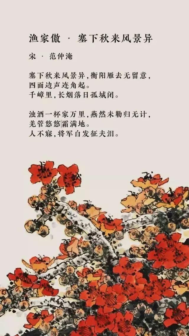 可爱的小考拉